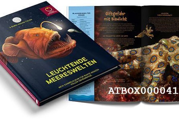 Kraken cc ссылка