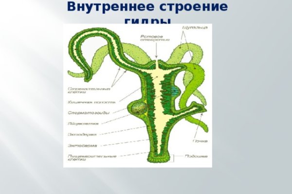 Кракен нарка шоп