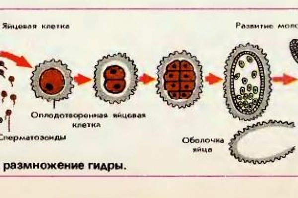 Ссылка на кракен тор браузер