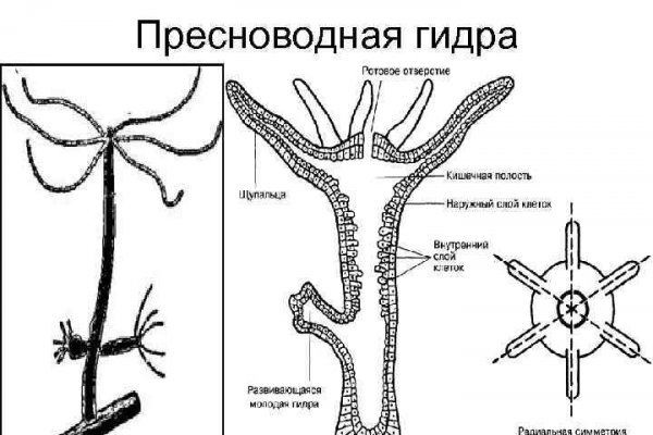 Кракен маркет даркнет только через тор скачать